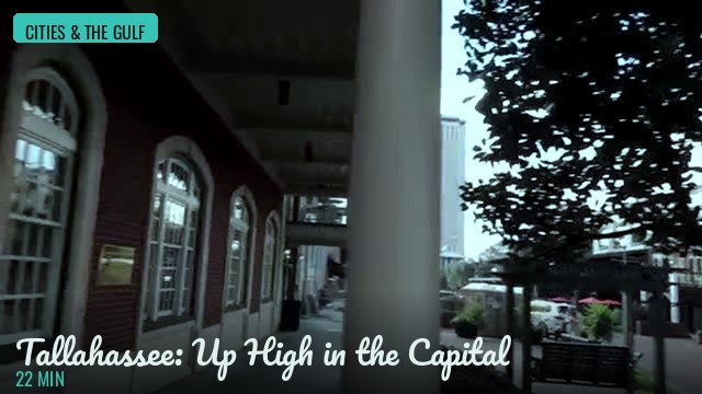 Tallahassee: Up High in the Capital